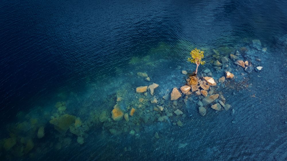 Photograph by Chau Nguyen