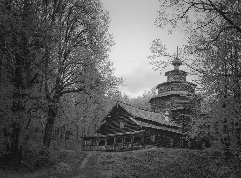 Фотография автора Медведева Елена
