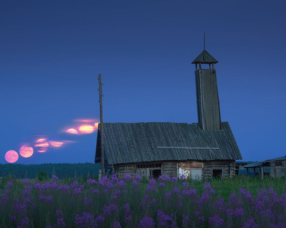 Photograph by Михаил Шаньгин