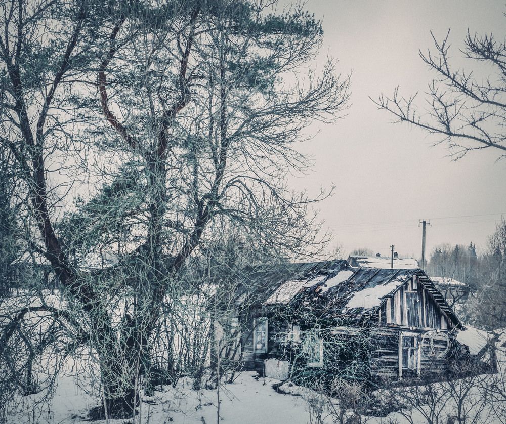 Фотография автора Медведева Елена