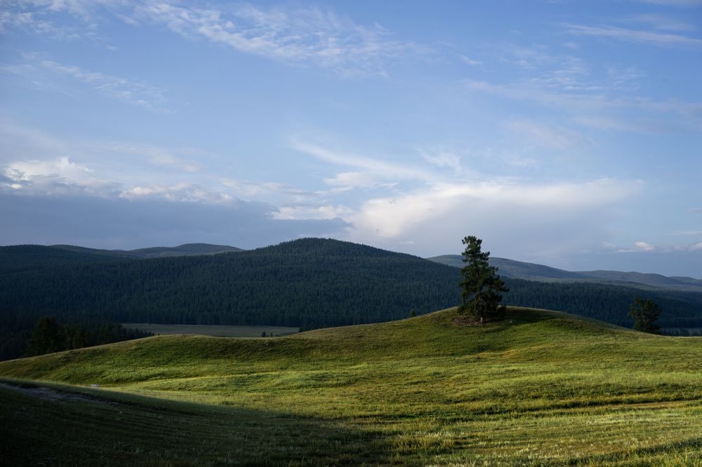 Photograph by Константин Щербаков