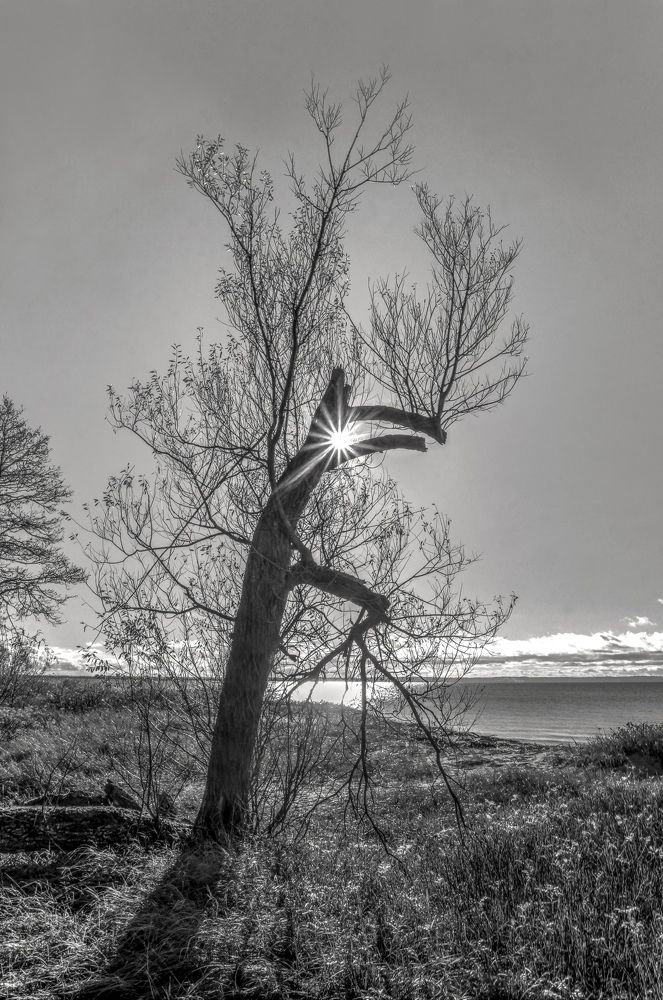 Photograph by Сергей Григорьев