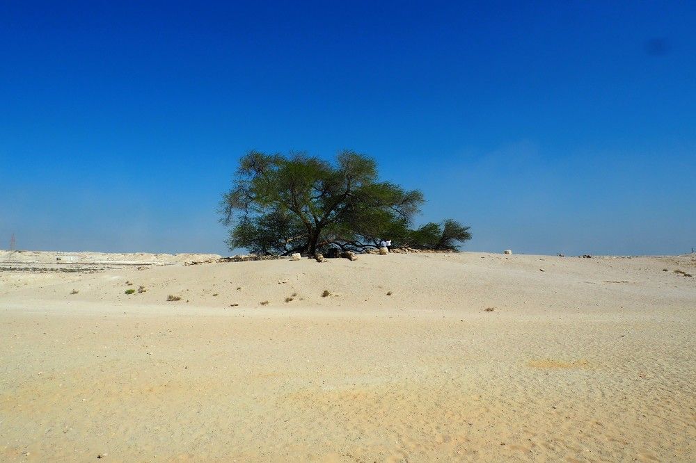 Photograph by Сергей Пушкин