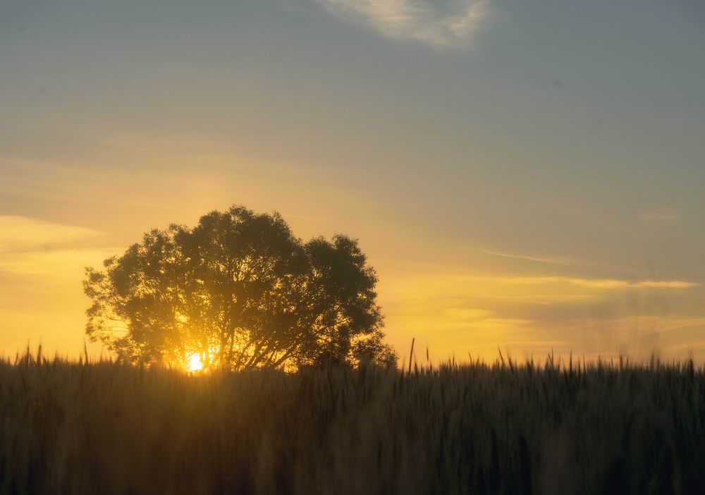 Photograph by Silyavin Nikita