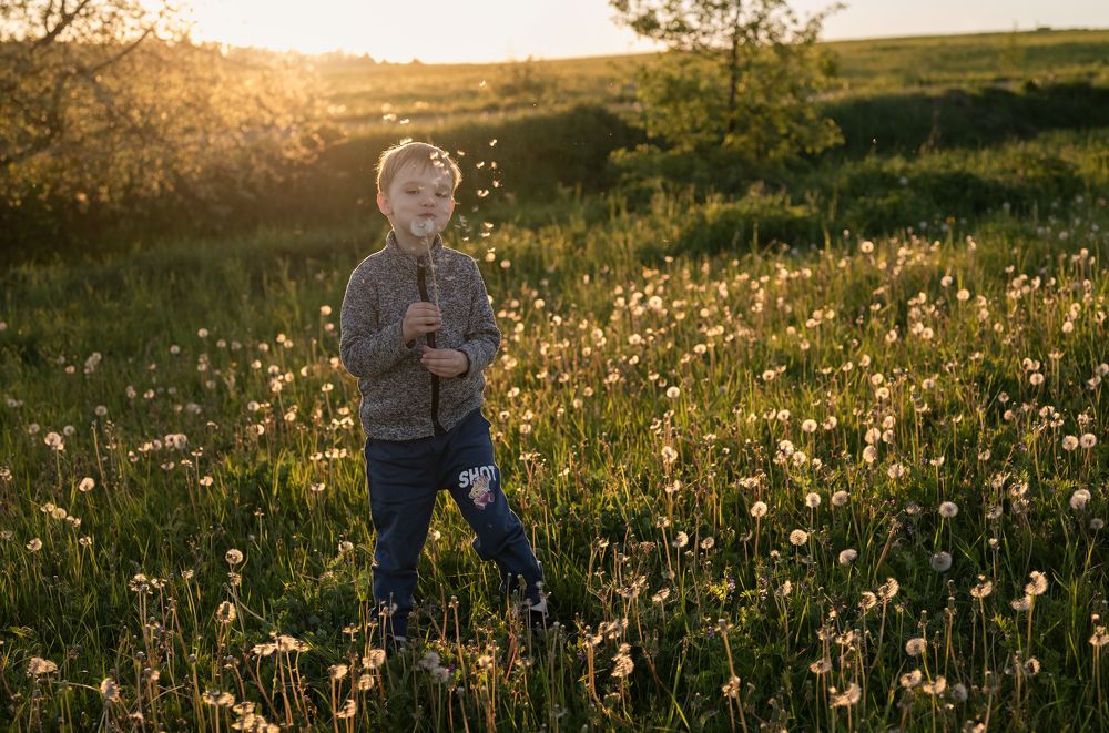 Photograph by Марина Шевцова