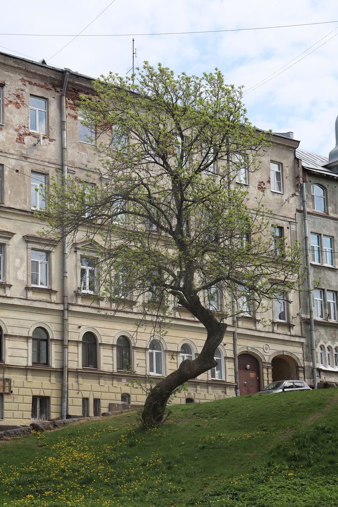 Photograph by Наталия Князева