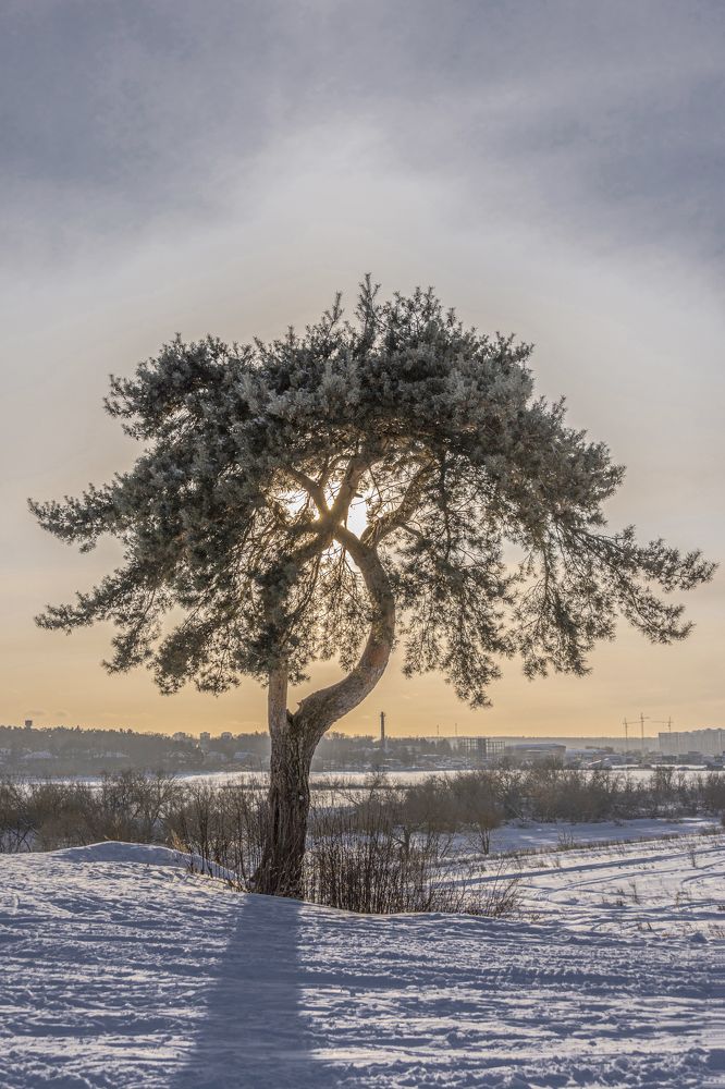 Photograph by Андрей К. Белов