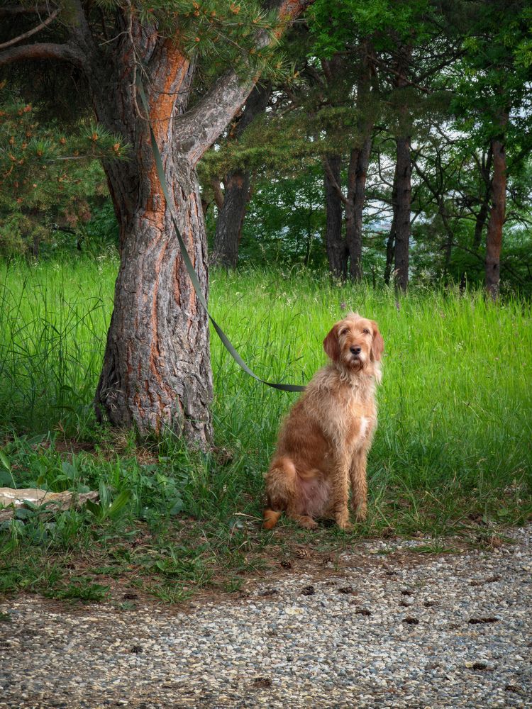 Photograph by Денис