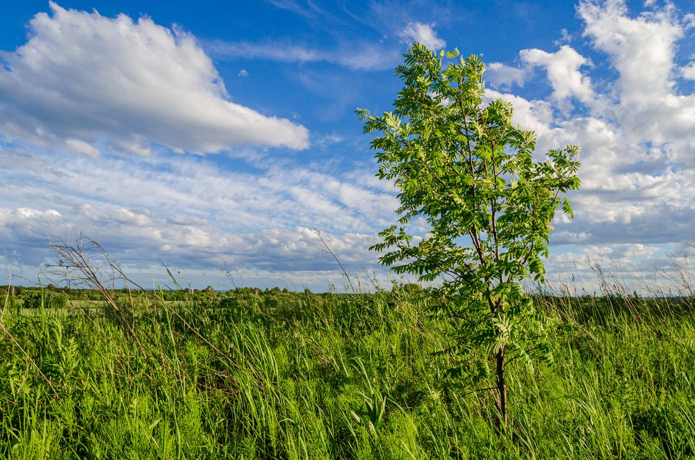 Photograph by Денис Кичев