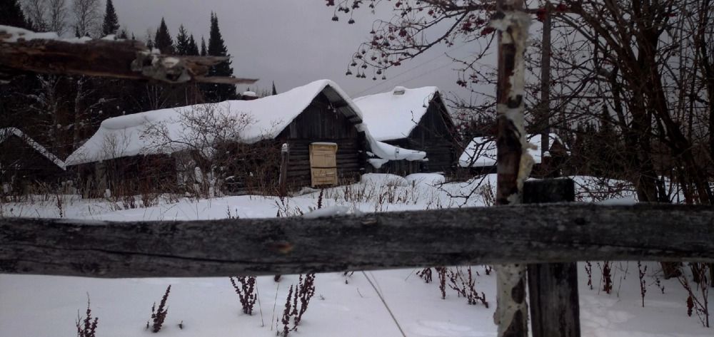 Photograph by sergei nosov