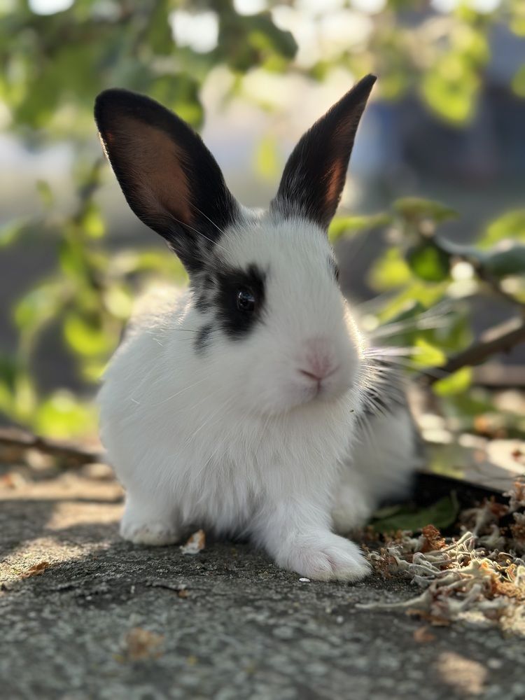 Photograph by Alexandr