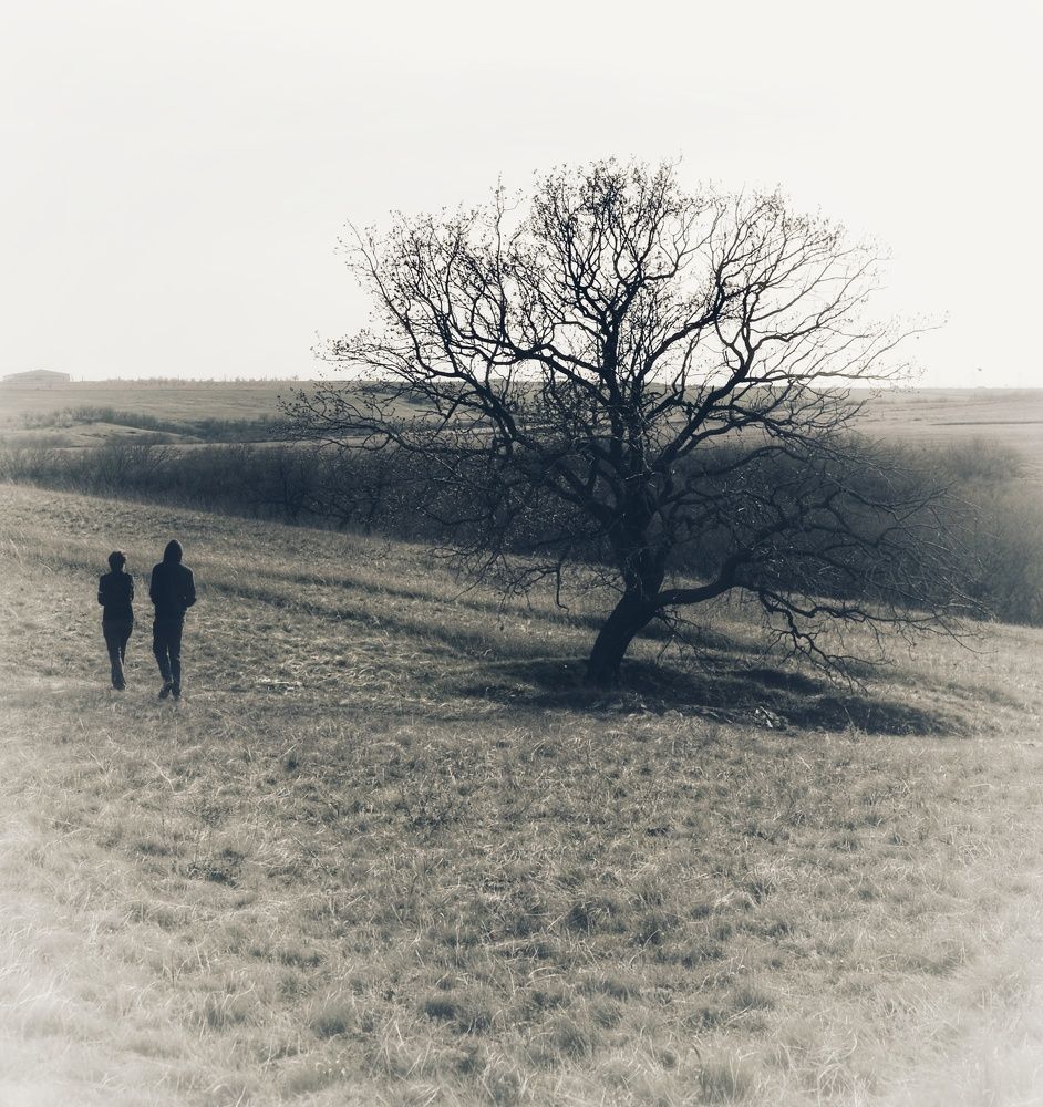 Photograph by Сергей Кошин