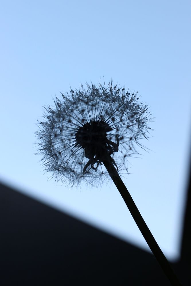 Photograph by Марина Евграфова