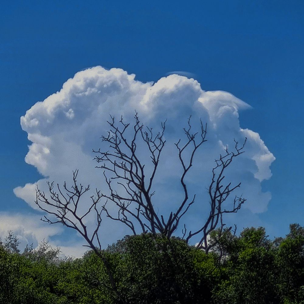 Photograph by Luiz Augusto Magina