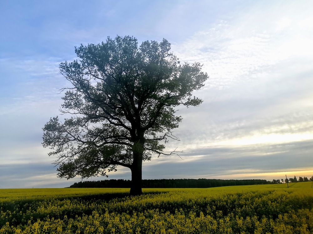 Photograph by 