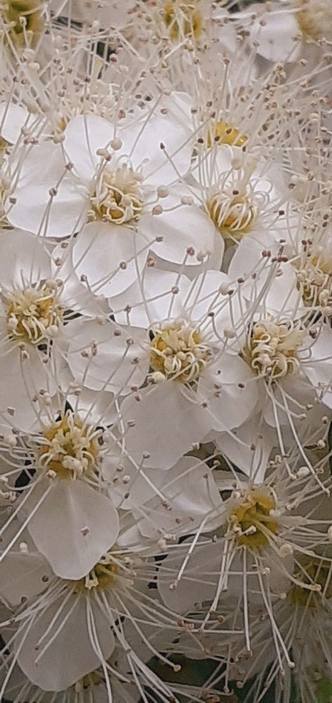 Photograph by Евгения Ульянова