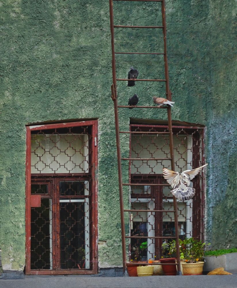 Photograph by Константин Мишнаевский