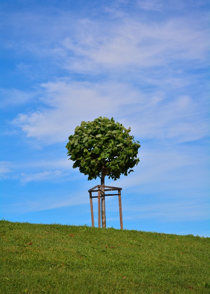 Photograph by Inna Ivanova