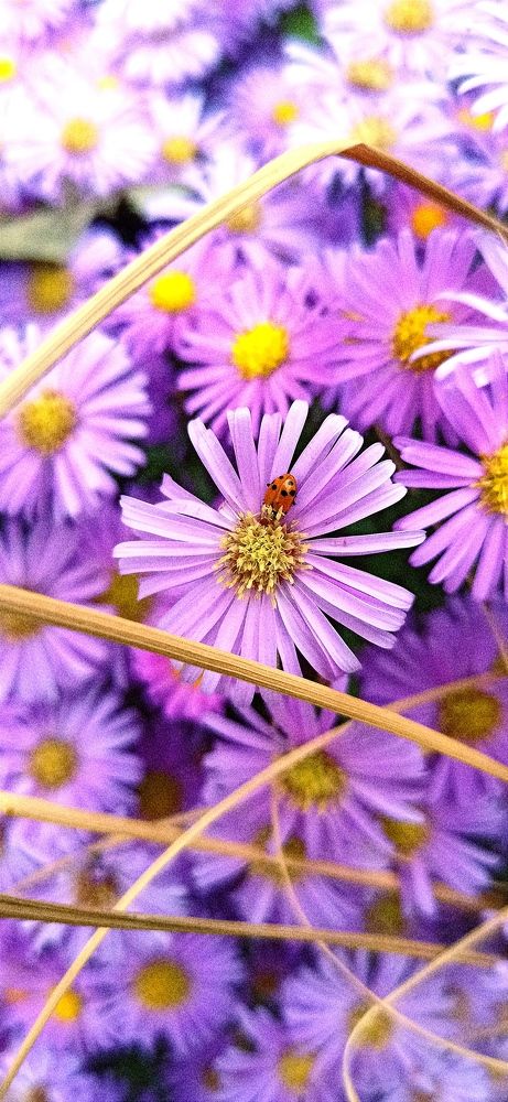 Photograph by Валерия