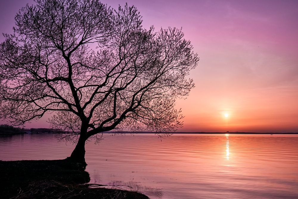 Photograph by Татьяна Полянская