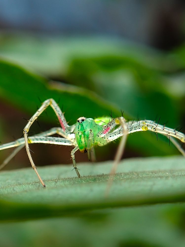 Photograph by Praveen