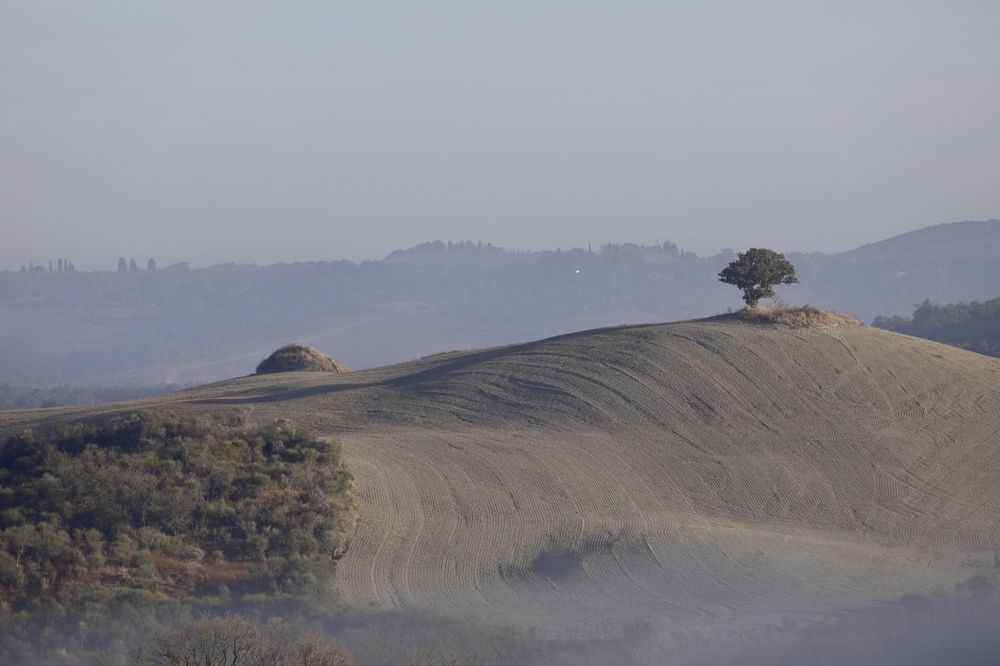 Photograph by Ольга Одаренко