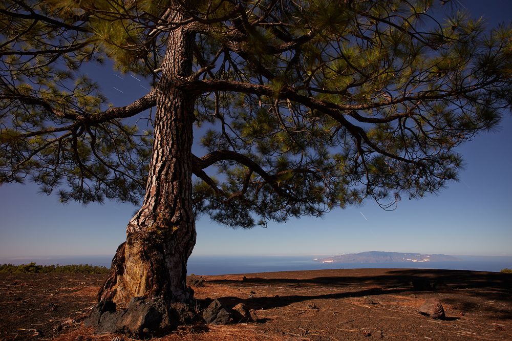 Photograph by Prometej