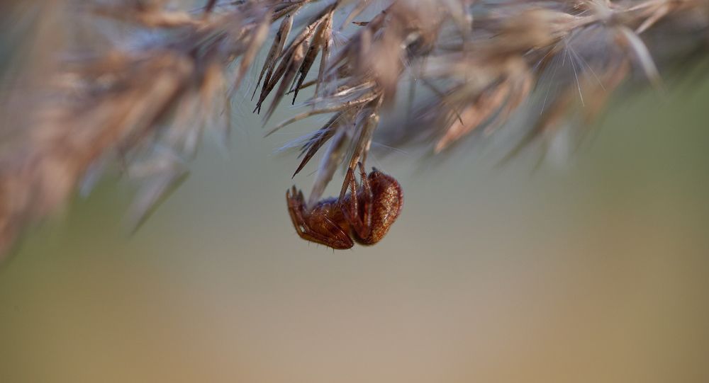 Photograph by Prometej