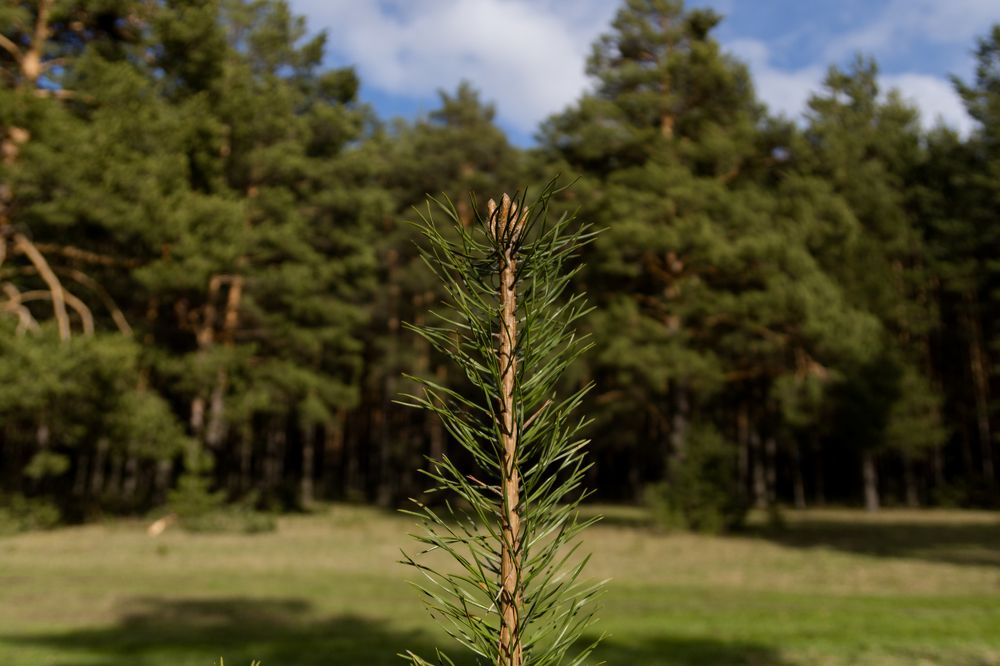 Photograph by Александр Волков
