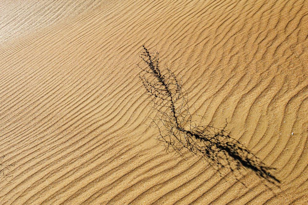 Photograph by Волынский Виктор