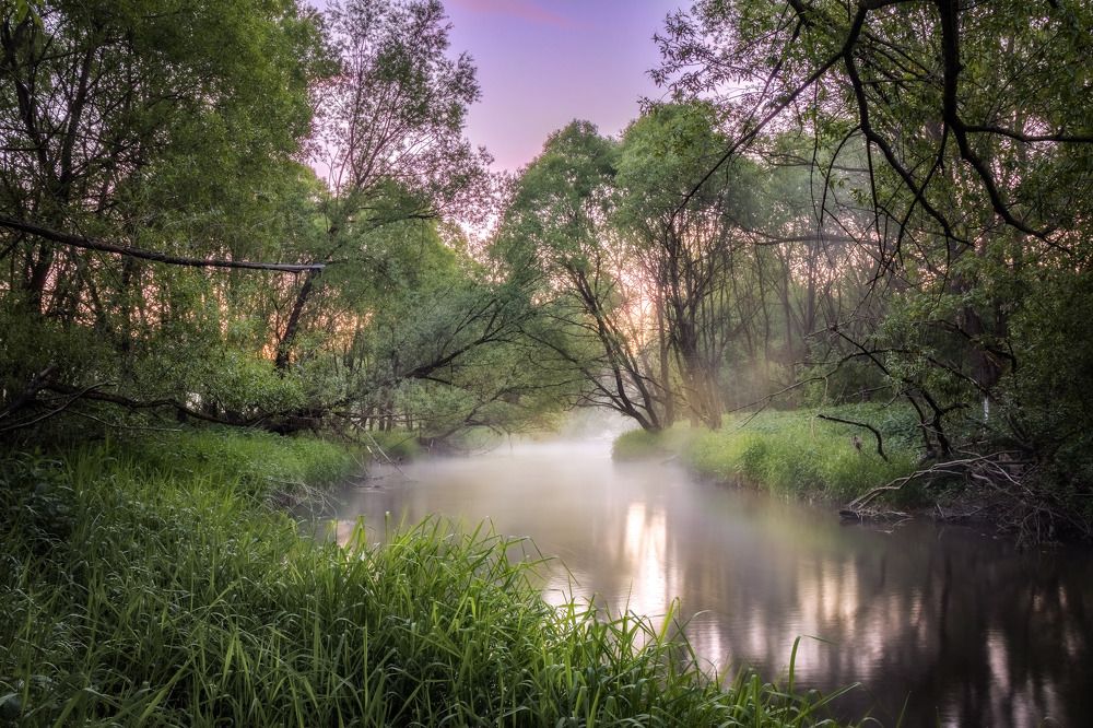 Фотография автора Сережа Сережин