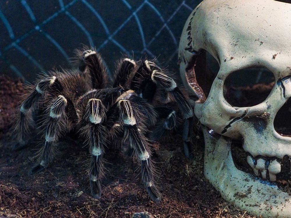 Photograph by Natalia Novikova