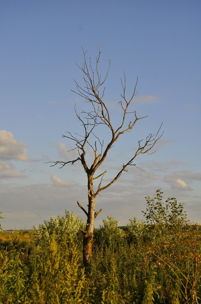 Photograph by Ольга Струкалина