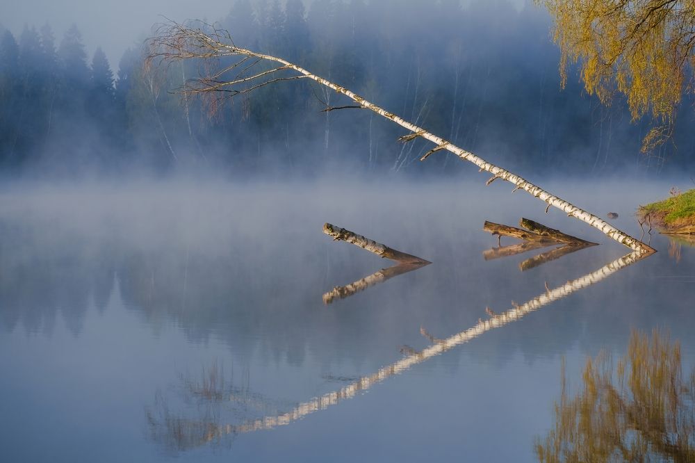 Photograph by Александр Шершнев