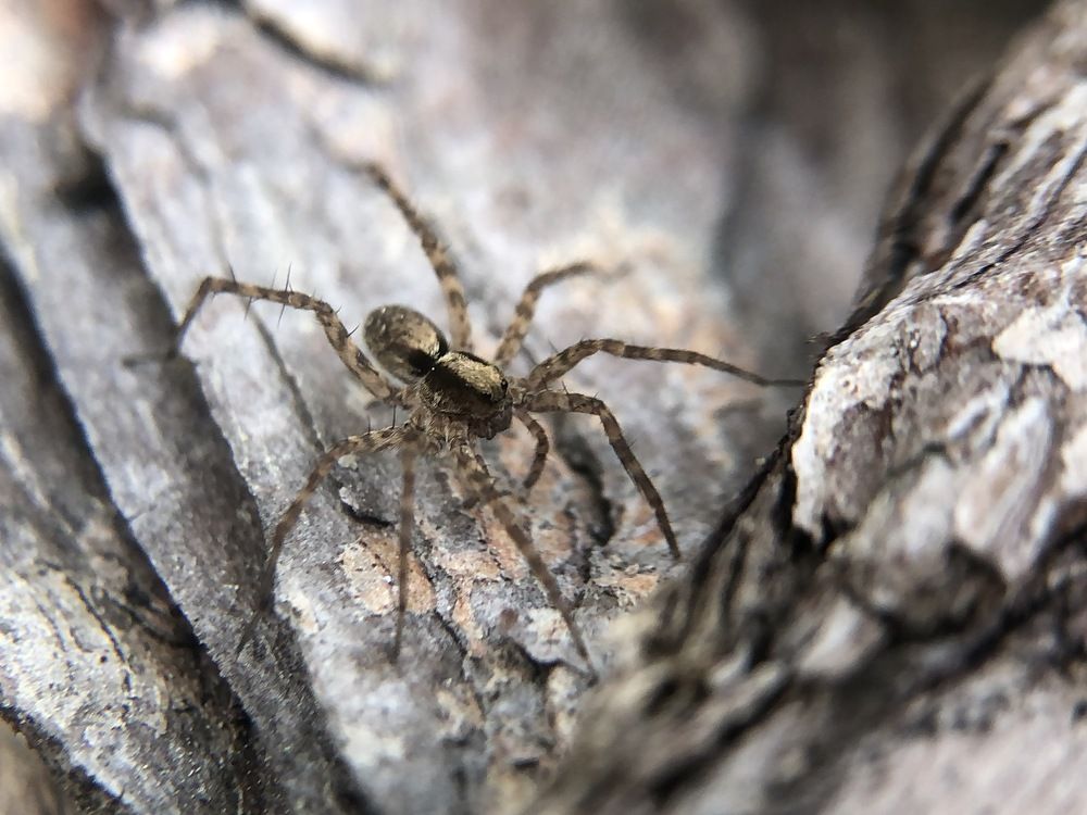 Photograph by Алексей Горин