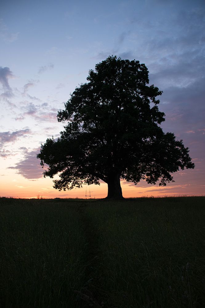Фотография автора Светлана Дроголюбова