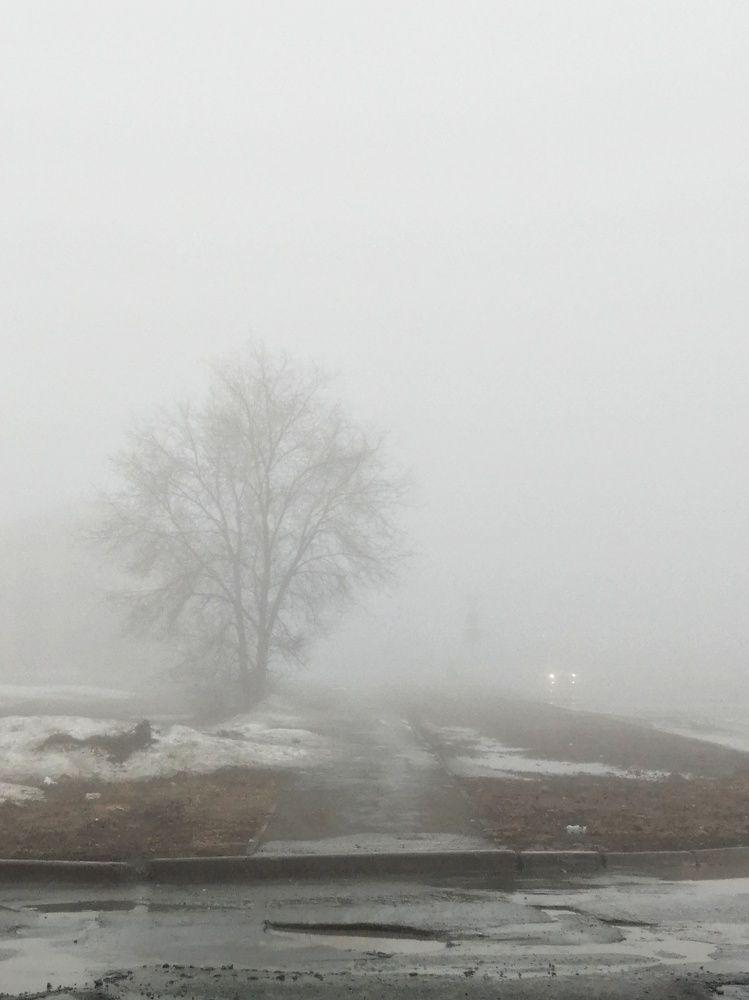 Photograph by Ольга Мокрова