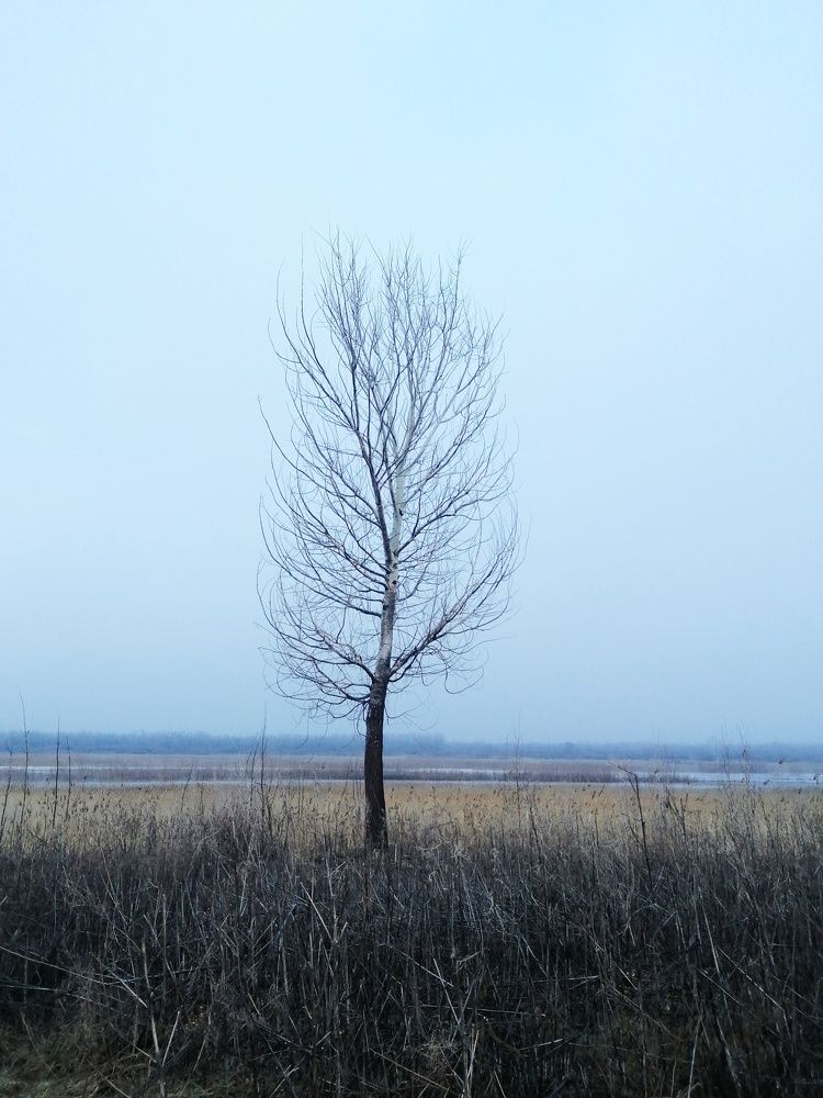 Photograph by Ольга Мокрова