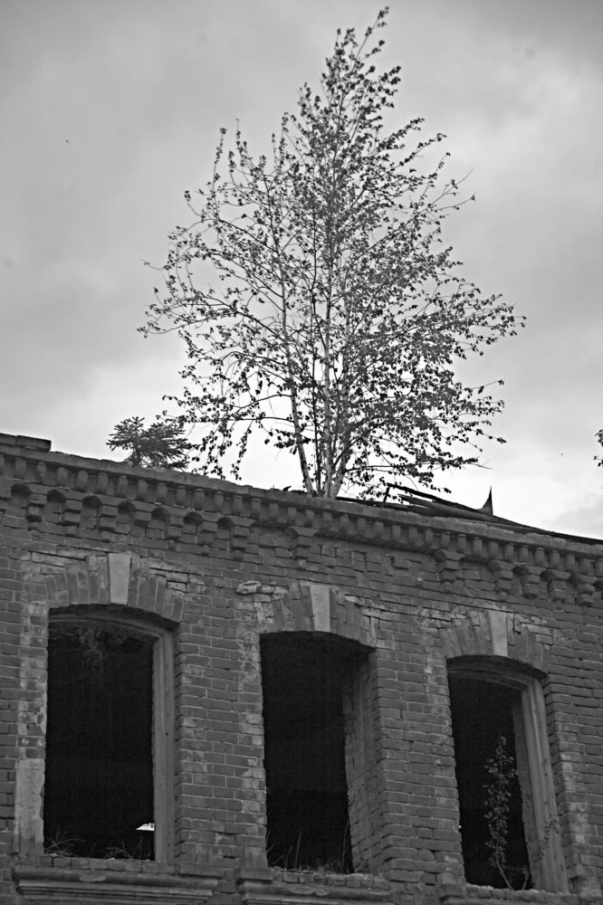 Photograph by Александр Макаренко