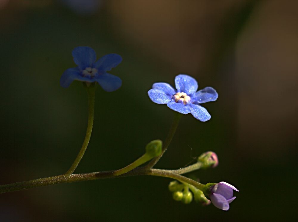 Photograph by Александр Макаренко