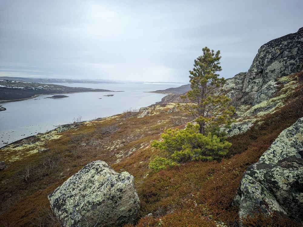 Photograph by Maksim Ushakov