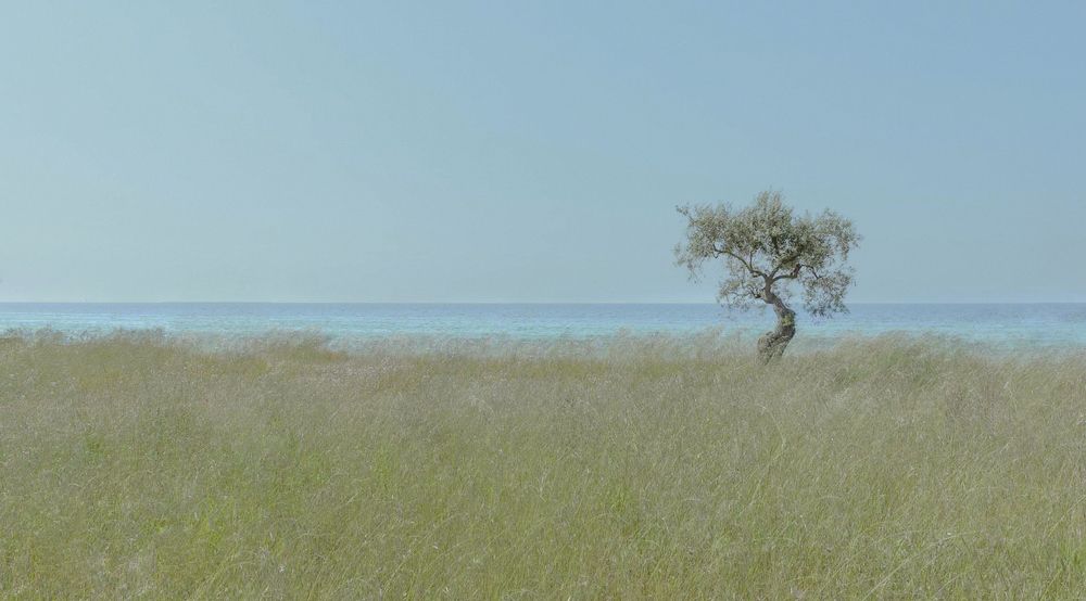 Photograph by Taтьяна Войлокова