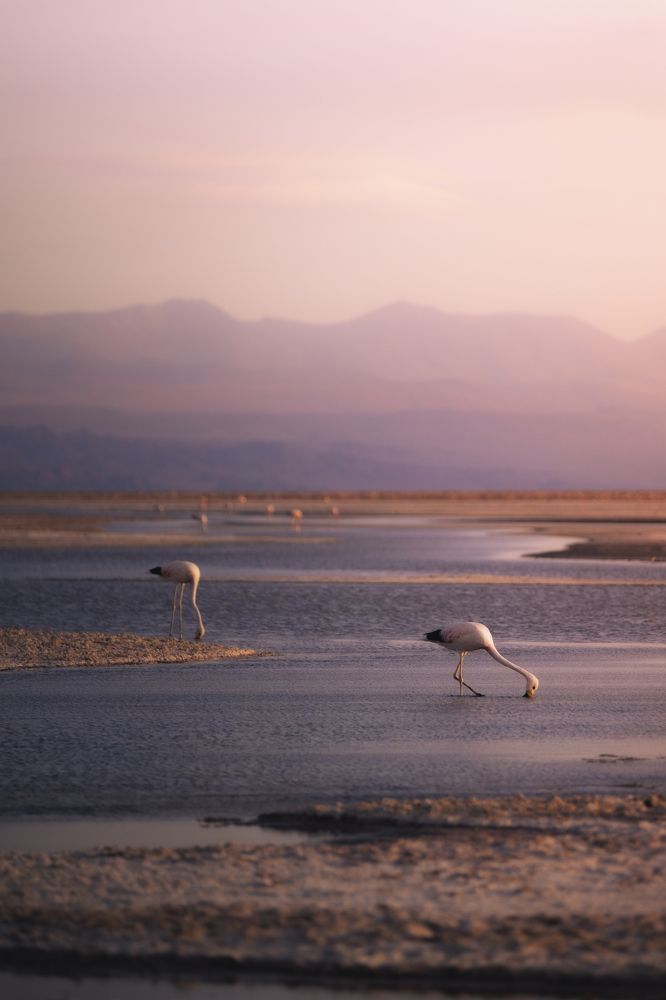 Photograph by Bruno Henrique Marin