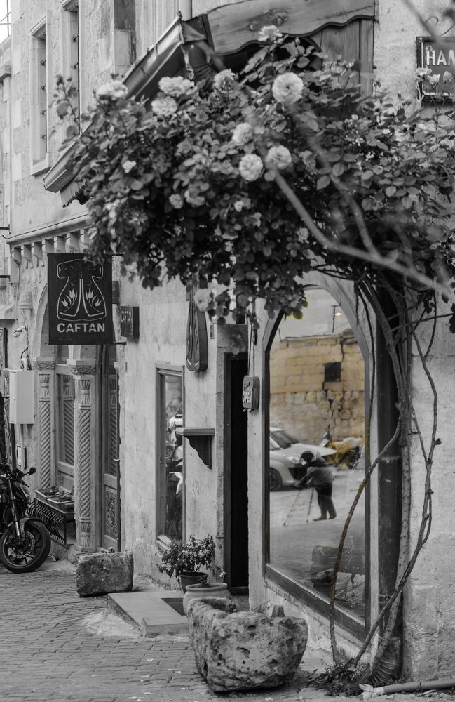 Photograph by Semeniuc Anna