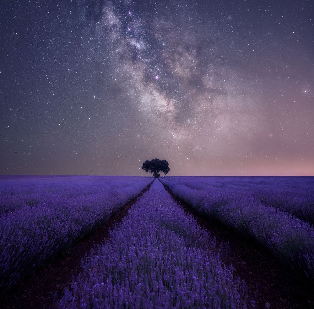 Photograph by Oscar Lata