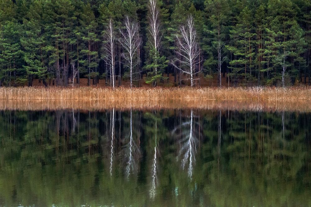 Photograph by Елена Кошелева