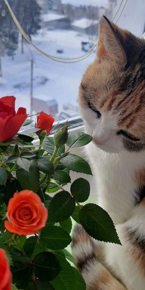 Photograph by Мария