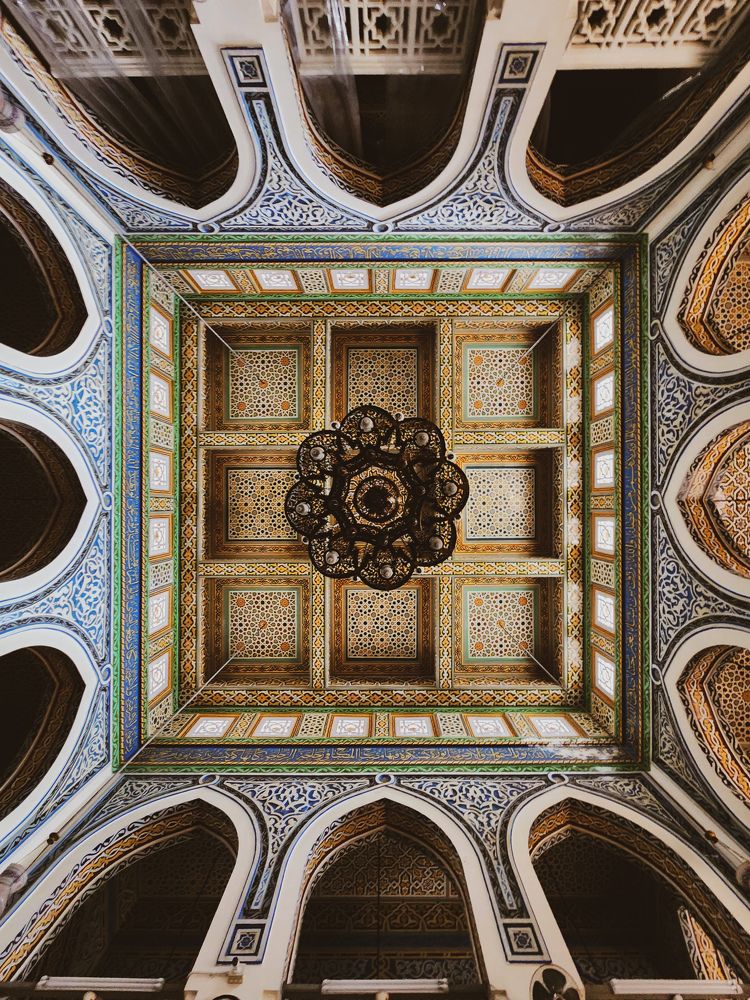 Photograph by Ahmed Ehab