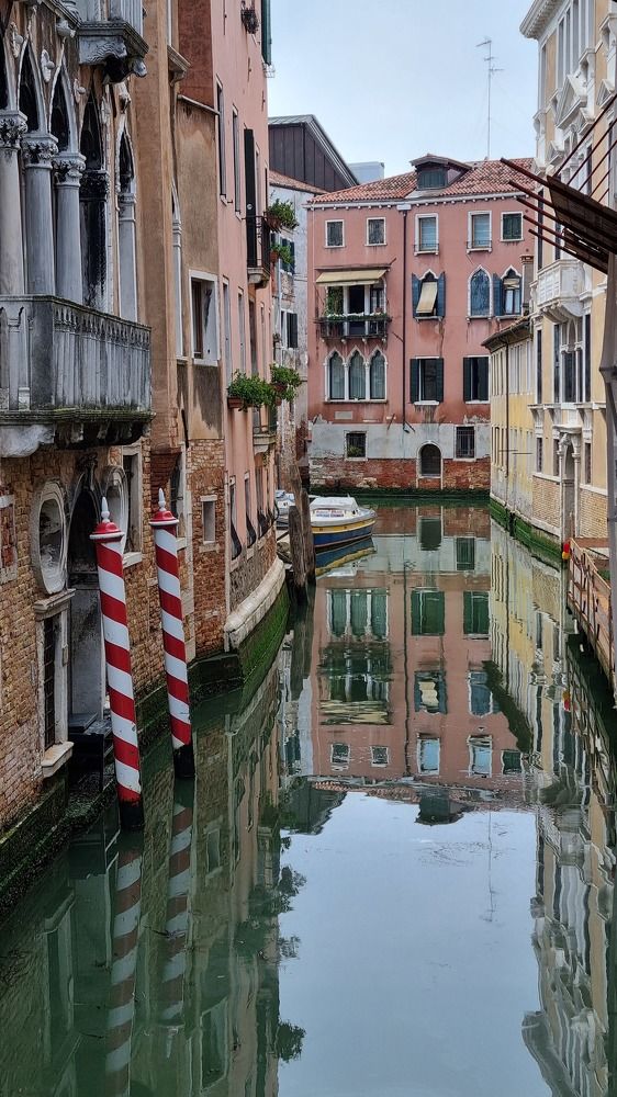 Photograph by Светлана