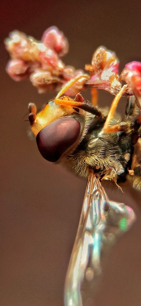 Фотография автора Mahdi Mohammadi